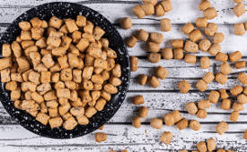 Как выбрать корм для кошек и собак