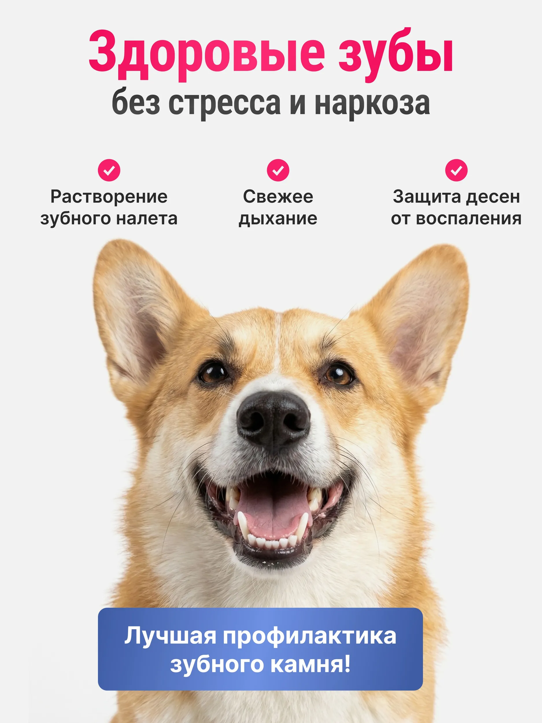 Зубной гель для чистки полости рта для всех животных Орозим Ecuphar Orozyme 70 г. Оригинал